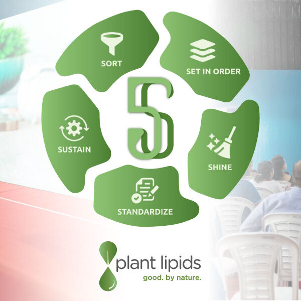 Celebrating Efficiency: A Successful 5S System Implementation and Launch Event 