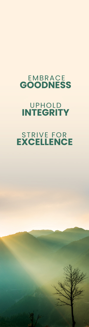 core-values-banner-vertical