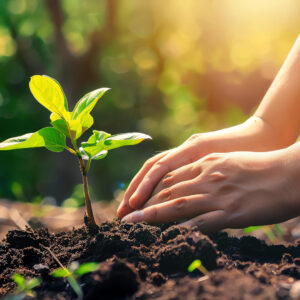 Plant Lipids Celebrates World Environment Day 2025 with Tree Planting and Community Engagement